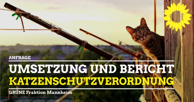 Katzenschutzverordnung