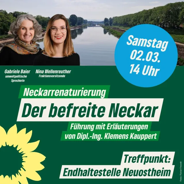 Der befreite Neckar