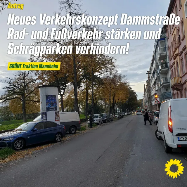 Änderung Verkehrskonzept Dammstraße