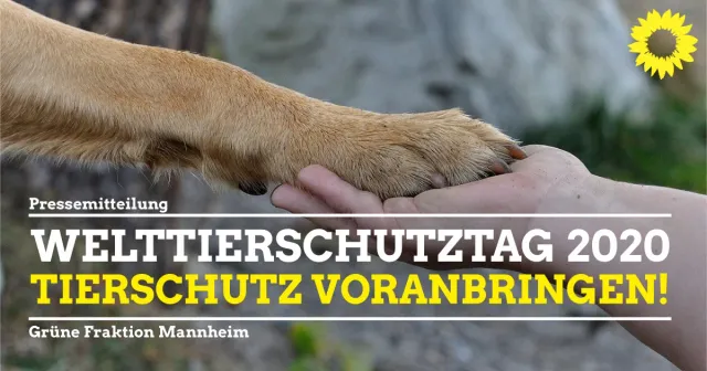 Engagement für Tierschutz unterstützen