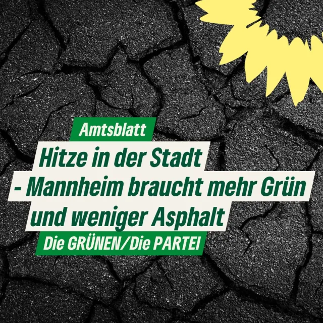 Hitze in der Stadt – Mannheim braucht mehr Grün und weniger Asphalt