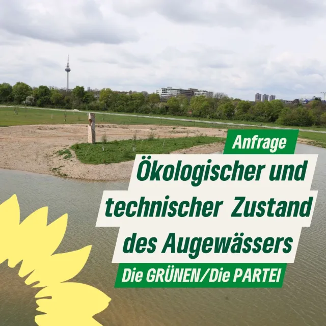 Ökologischer und technischer Zustand des Augewässers