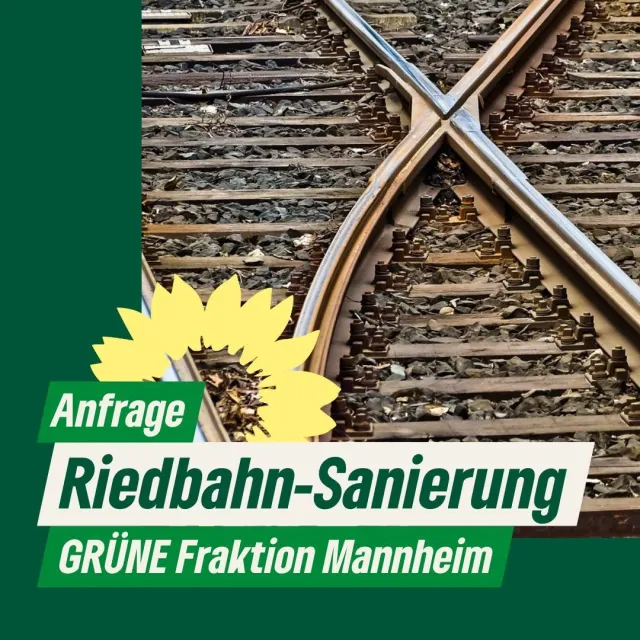 Riedbahn-Sanierung P&R