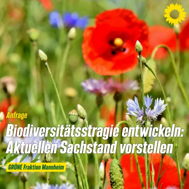 Aktueller Sachstand Biodiversitätsstrategie