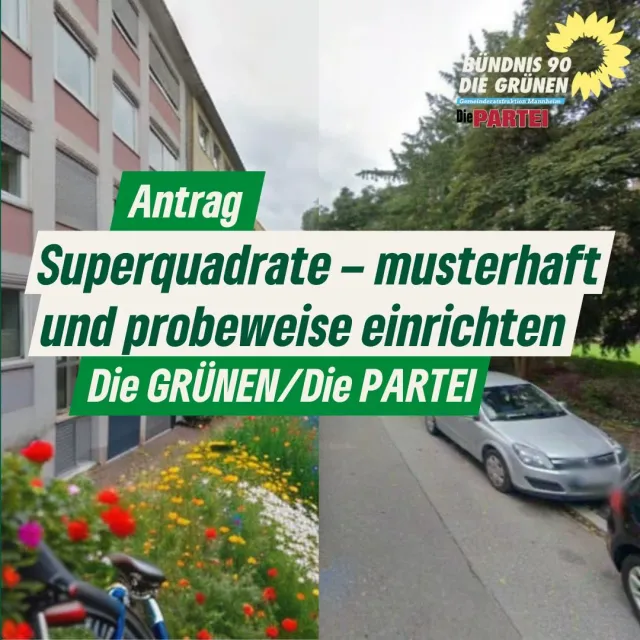 Superquadrate – musterhaft und probeweise einrichten