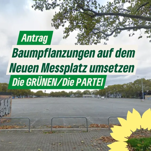 Baumpflanzungen auf dem Neuen Messplatz umsetzen