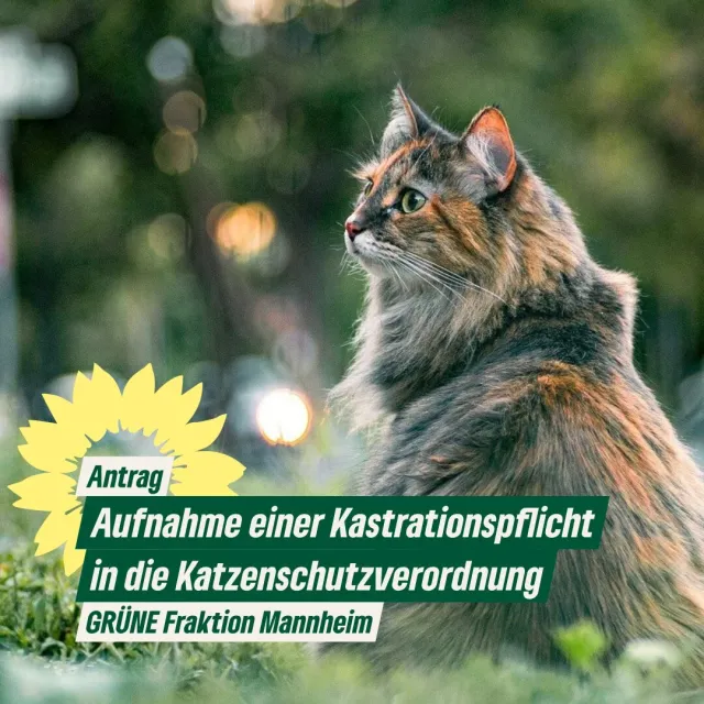 Aufnahme einer Kastrationspflicht in die Katzenschutzverordnung