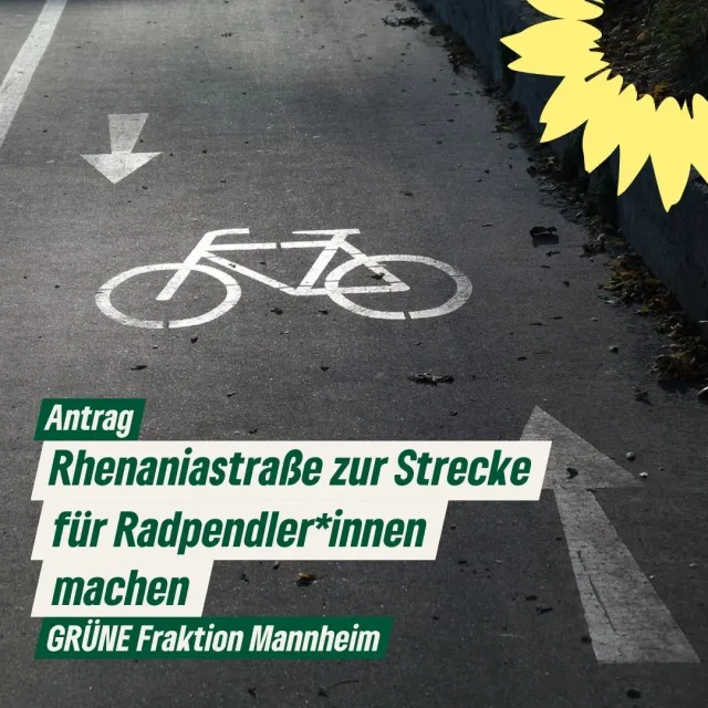 Rhenaniastraße zur Strecke für Radpendler*innen machen