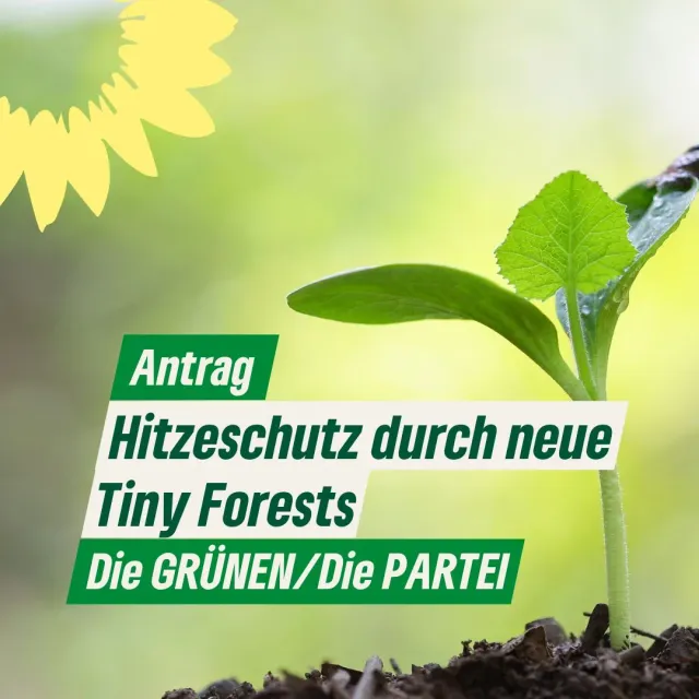 Hitzeschutz durch neue Tiny Forests
