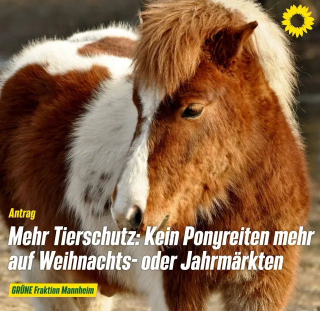 Kein Ponyreiten auf Weihnachts- oder Jahrmarkt