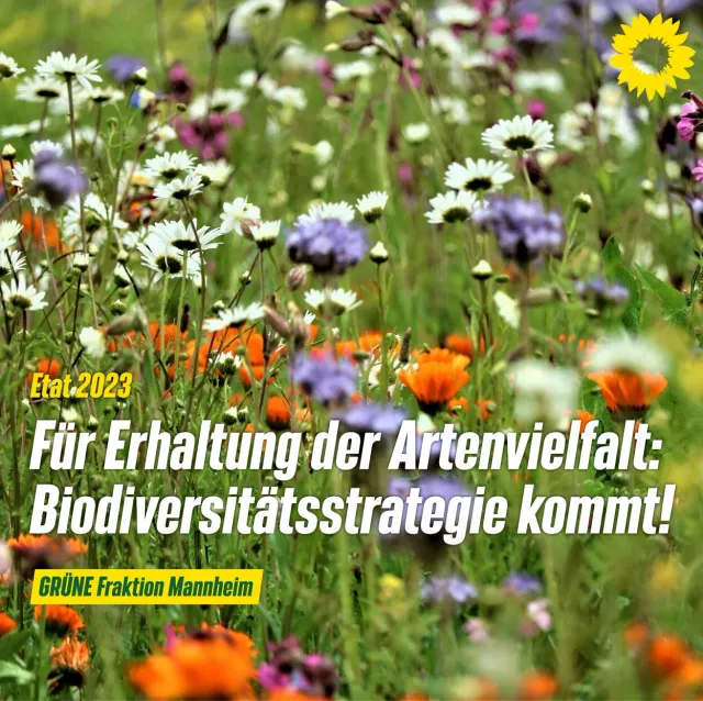 Erstellung einer Biodiversitätstrategie für Mannheim