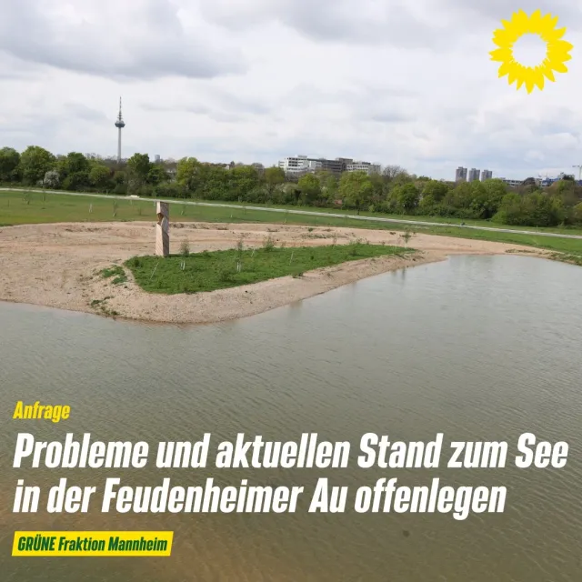 Probleme beim See in der Feudenheimer Au offenlegen