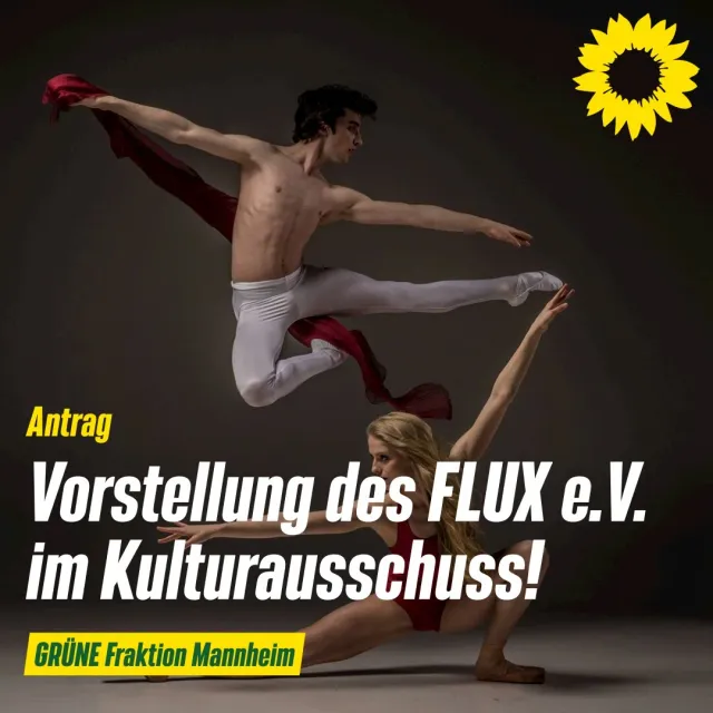 Vorstellung FLUX e.V. im Kulturausschuss