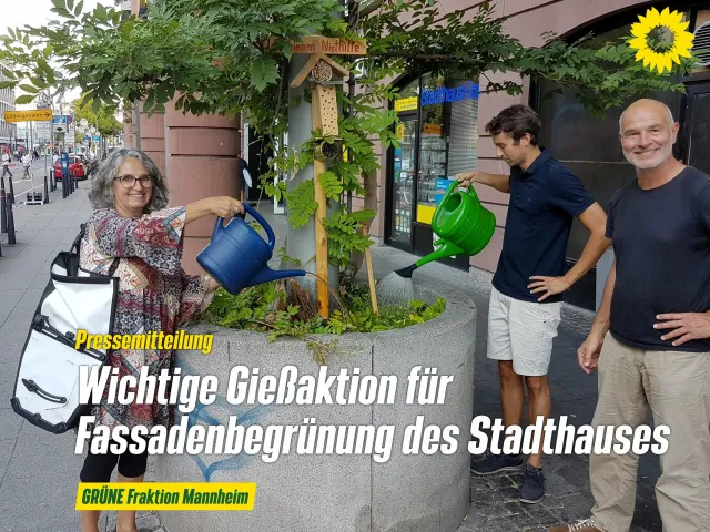 GRÜNE mit neuer Initiative zur Fassadenbegrünung des Stadthauses
