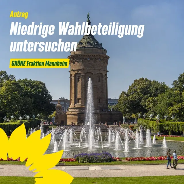 Niedrige Wahlbeteiligung untersuchen