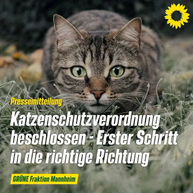 Erster Schritt in die richtige Richtung: Katzenschutzverordnung einstimmig verabschiedet