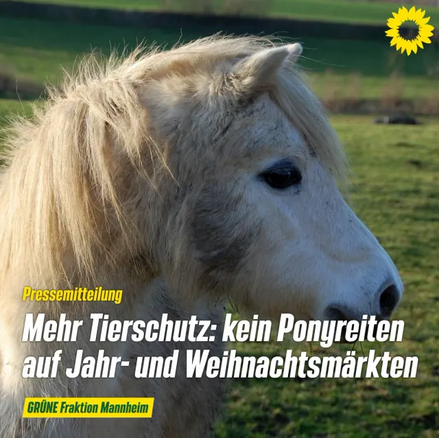 Gemeinsame Pressemitteilung der Ratsfraktionen GRÜNE, SPD und LI.PAR.Tie Initiative gegen das Ponyreiten auf Jahr- und Weihnachtsmärkten