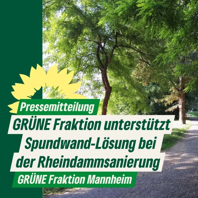 GRÜNE Fraktion unterstützt Spundwand-Lösung bei der Rheindammsanierung