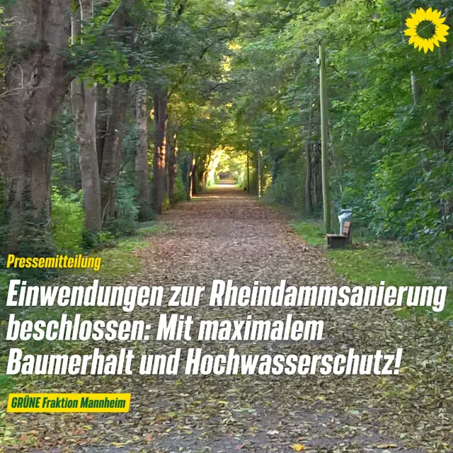 Für maximalen Baumerhalt und gleichzeitigen Hochwasserschutz: Einwendungen zur Rheindammsanierung erhoben