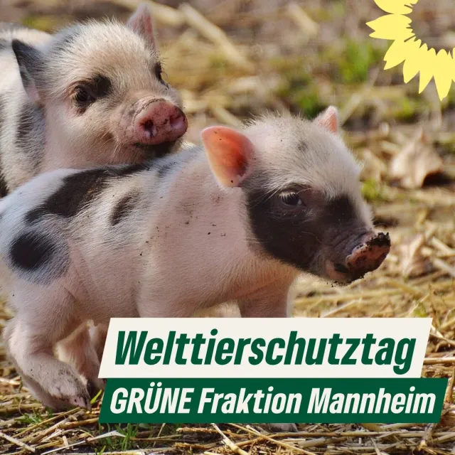 Heute ist Welttierschutztag!
