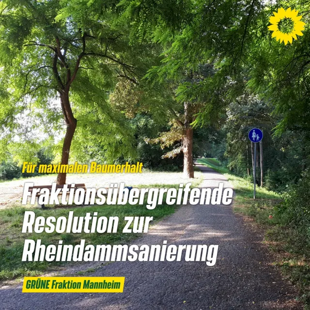 Resolution des Gemeinderates der Stadt Mannheim zur Sanierung des Rheindamms