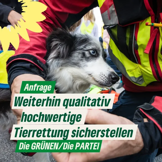 Weiterhin qualitativ hochwertige Tierrettung sicherstellen