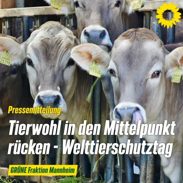 Welttierschutztag 2022: Jede Person kann etwas tun