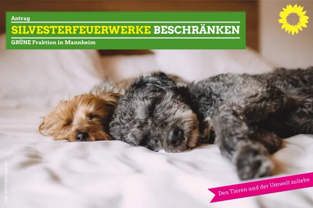 Silvesterfeuerwerk beschränken